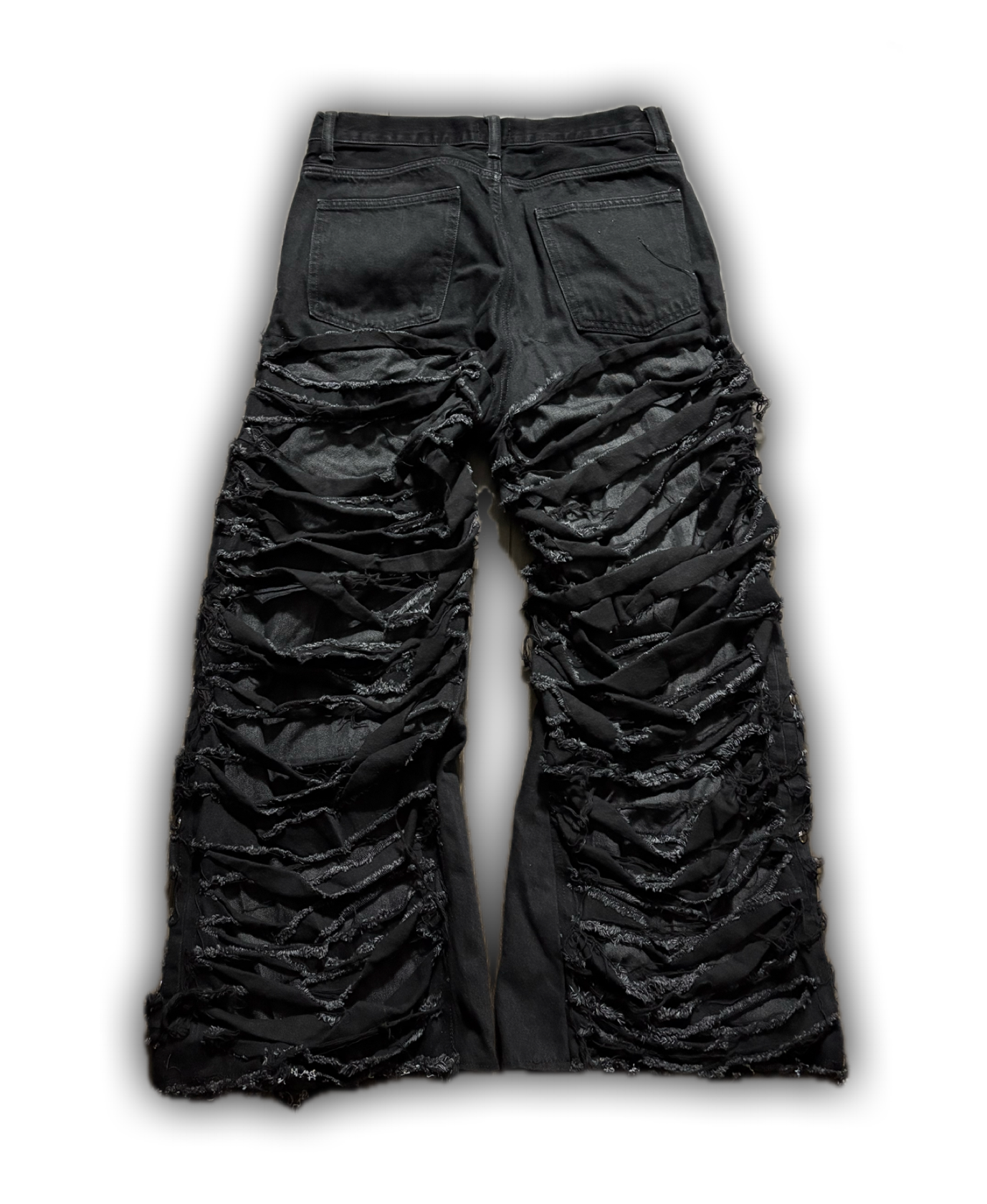 ZENEZ DESTROYED PANTS