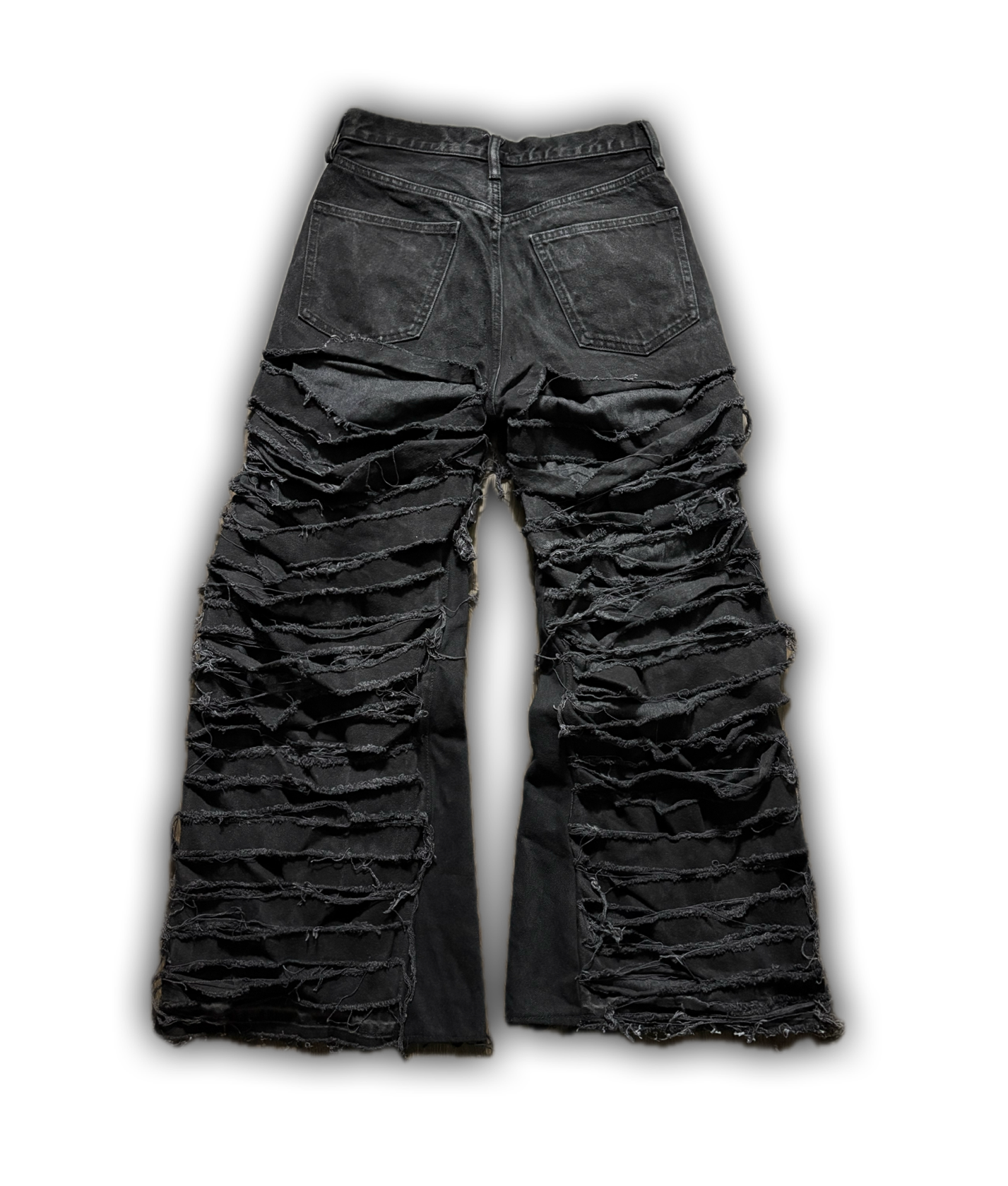 ZENEZ DESTROYED PANTS