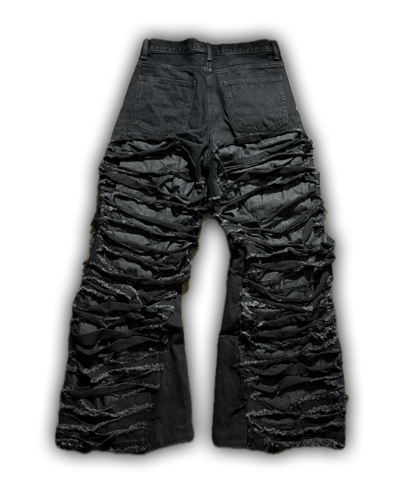 ZENEZ DESTROYED PANTS